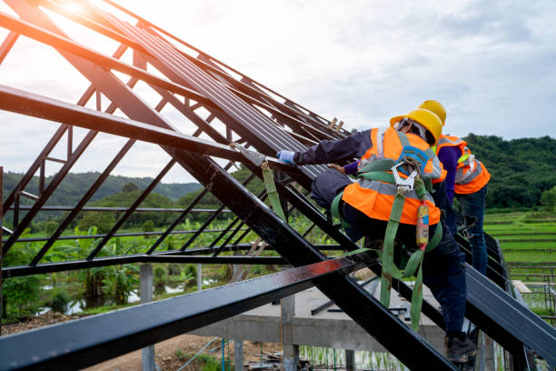 Best Best Roofing Contractors  in Pineland, TX