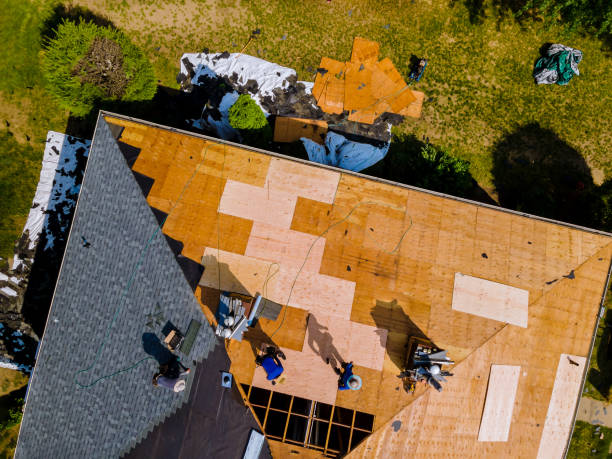 Best Roof Restoration Services  in Pineland, TX