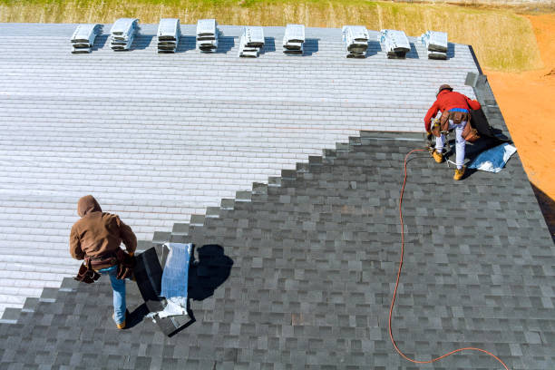 Best Storm Damage Roof Repair  in Pineland, TX