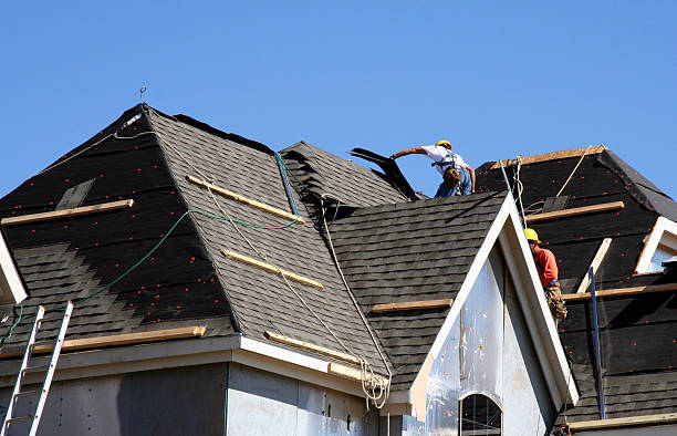Best Commercial Roofing Services  in Pineland, TX