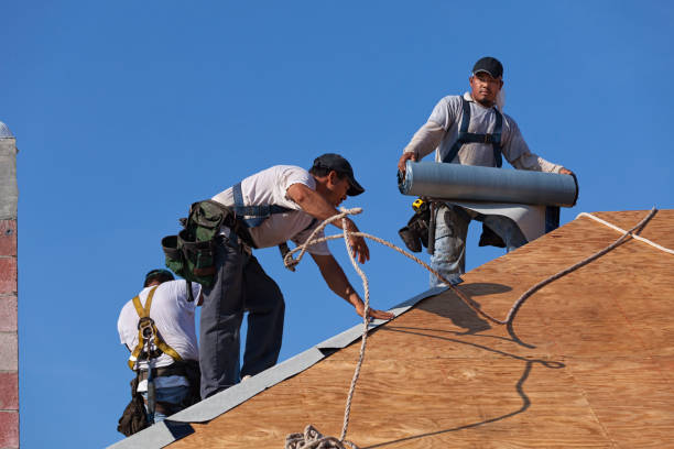 Best Gutter Installation and Roofing  in Pineland, TX