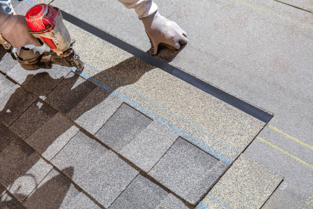 Best Roof Waterproofing Services  in Pineland, TX